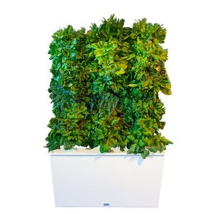 Four tower hydroponic tower tower only