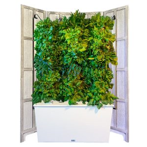 four tower hydroponic tower with LED grow lights