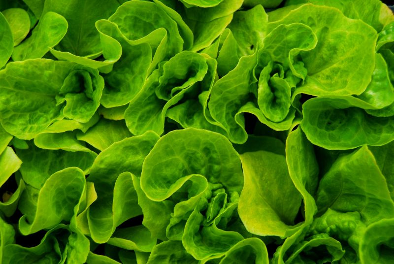 leafy greens lower blood sugar